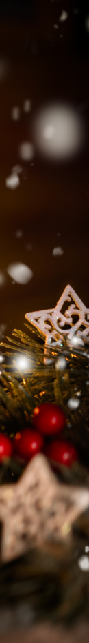 Bild zu Adventsball